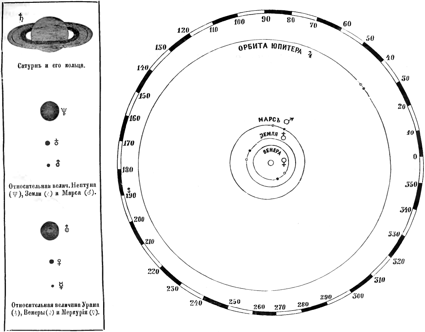 Истинныя положенія земли и яркихъ планетъ на ихъ орбитахъ:
1 февраля (темный кружокъ) и 1 марта 1893 года (свѣтлый кружокъ).
Масштабъ: 1 центиметръ = астрономической единицѣ.
